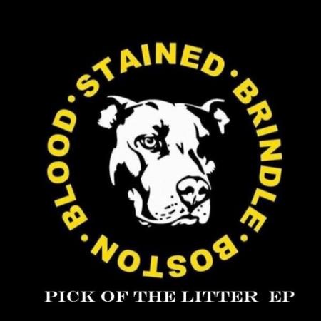 Blood Stained Brindle - Pick Of The Litter (2022)