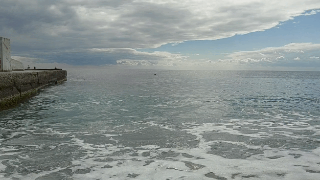 20210922-115013-1.gif