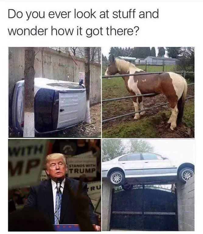 [Image: Funny-Donald-Trump-Memes.png]
