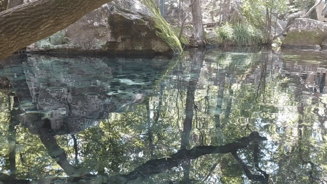 20210922-125134-1.gif