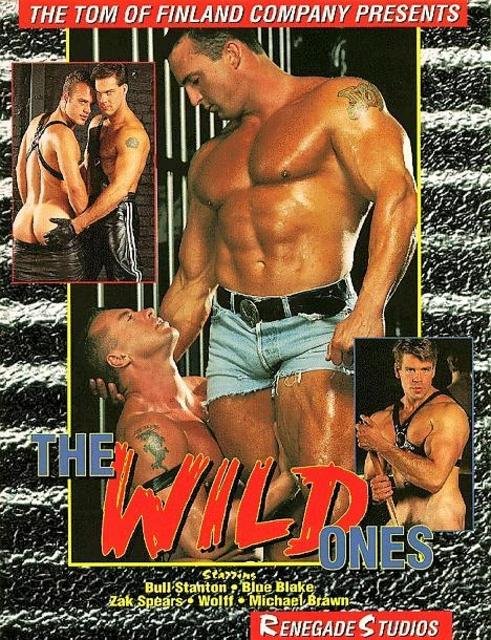 The Wild Ones (Renegade)