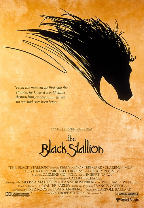 Czarny rumak / The Black Stallion (1979) PL.1080p.BDRip.DD.2.0.x264-OK | Lektor PL