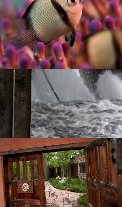 National Geographic Six Degrees Could Change The World 2008 1080p BluRay H264 AAC ... National Geographic Six Degrees Could Change The World 2008 1080p BluRay H264 AAC ...