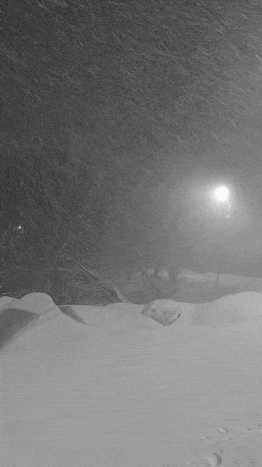 20211227-224018.gif