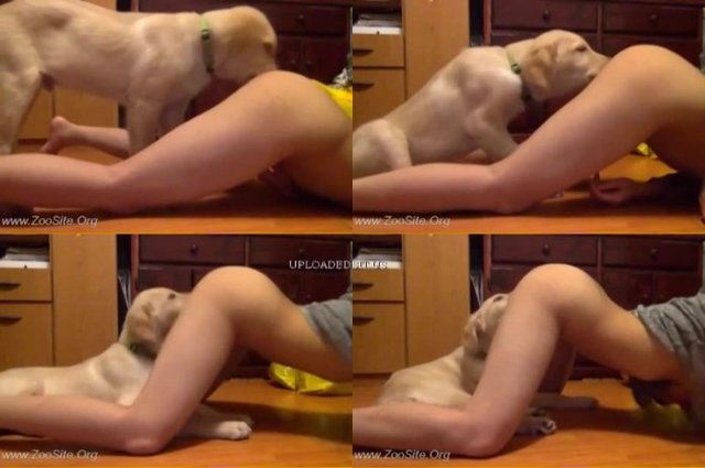 055 Web C Asian Eaten Out By Dog On Webcam - Asian Eaten Out By Dog On Webcam - WebCam Bestiality Sex