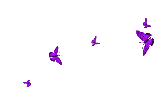 borboletas-butterflies