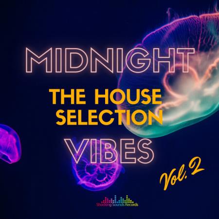 Midnight Vibes: The House Selection, Vol 2 (2021)