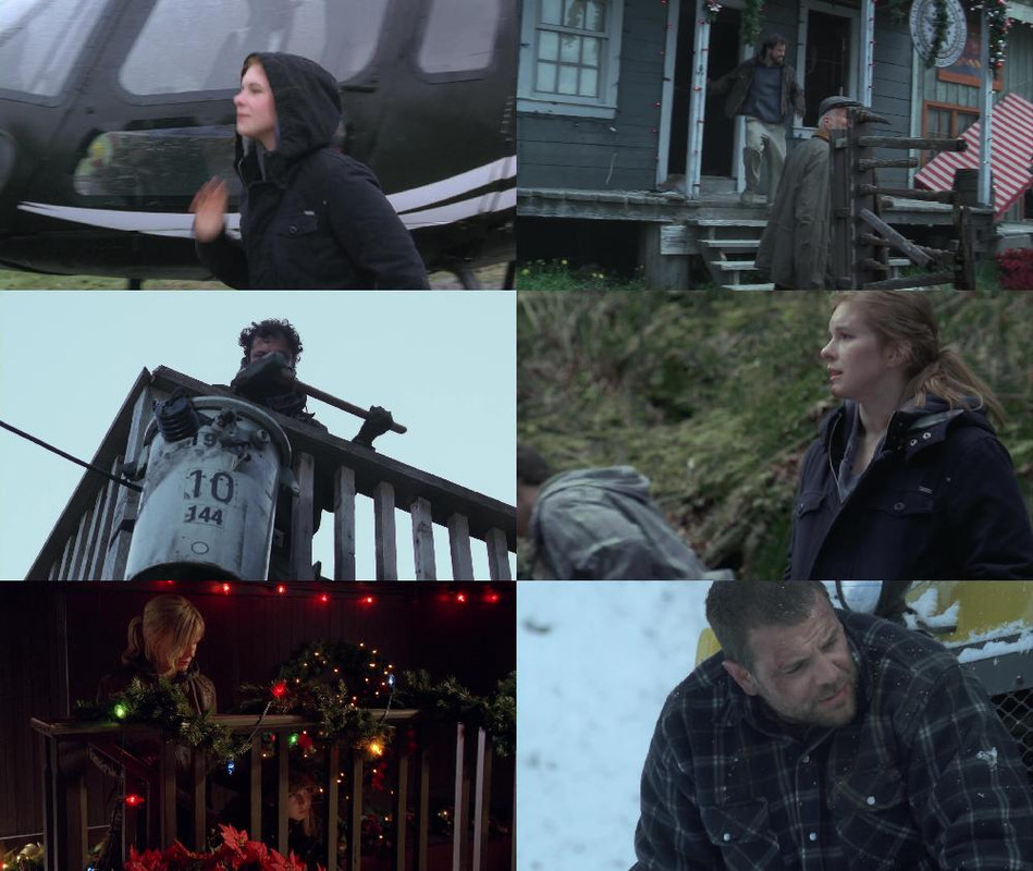 Snowmageddon-2011-1080p-Blu-Ray-H264-AAC-RARBG.jpg