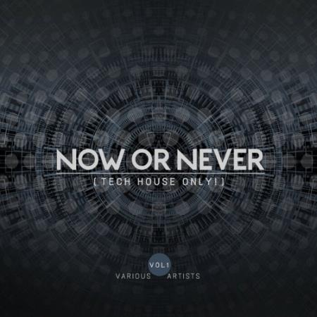 Now Or Never, Vol. 1 (Tech House Only!) (2022)