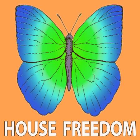 House Freedom - Painting (2021)